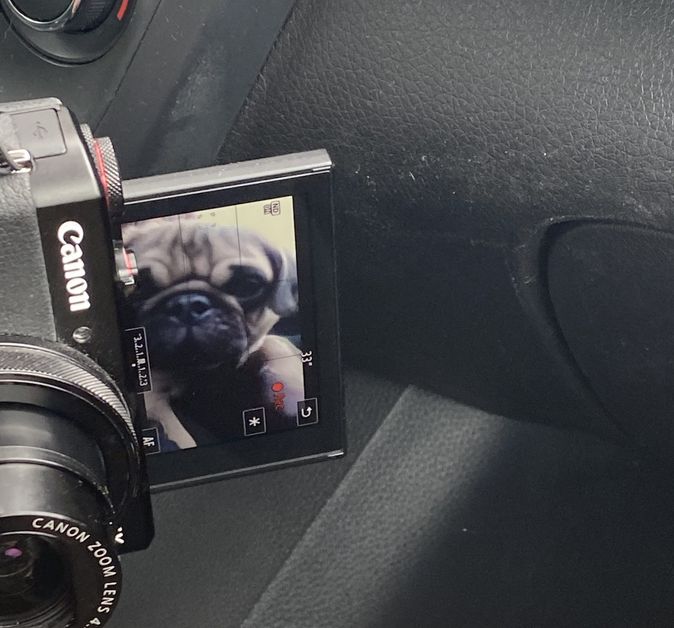 A Trip to LA: How Digital Pictures Tell a Story