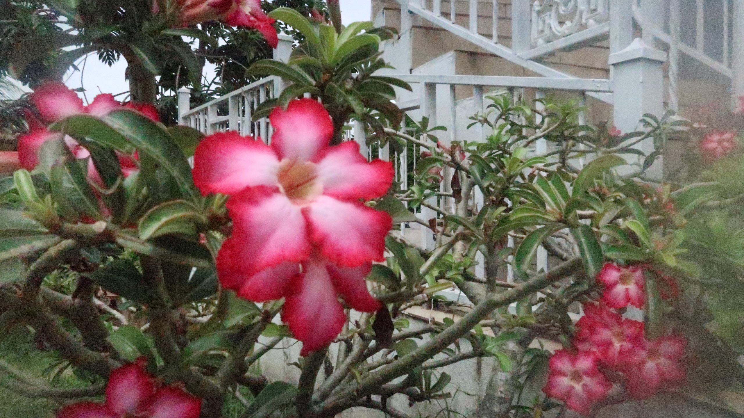 Production: What I’ve Learned