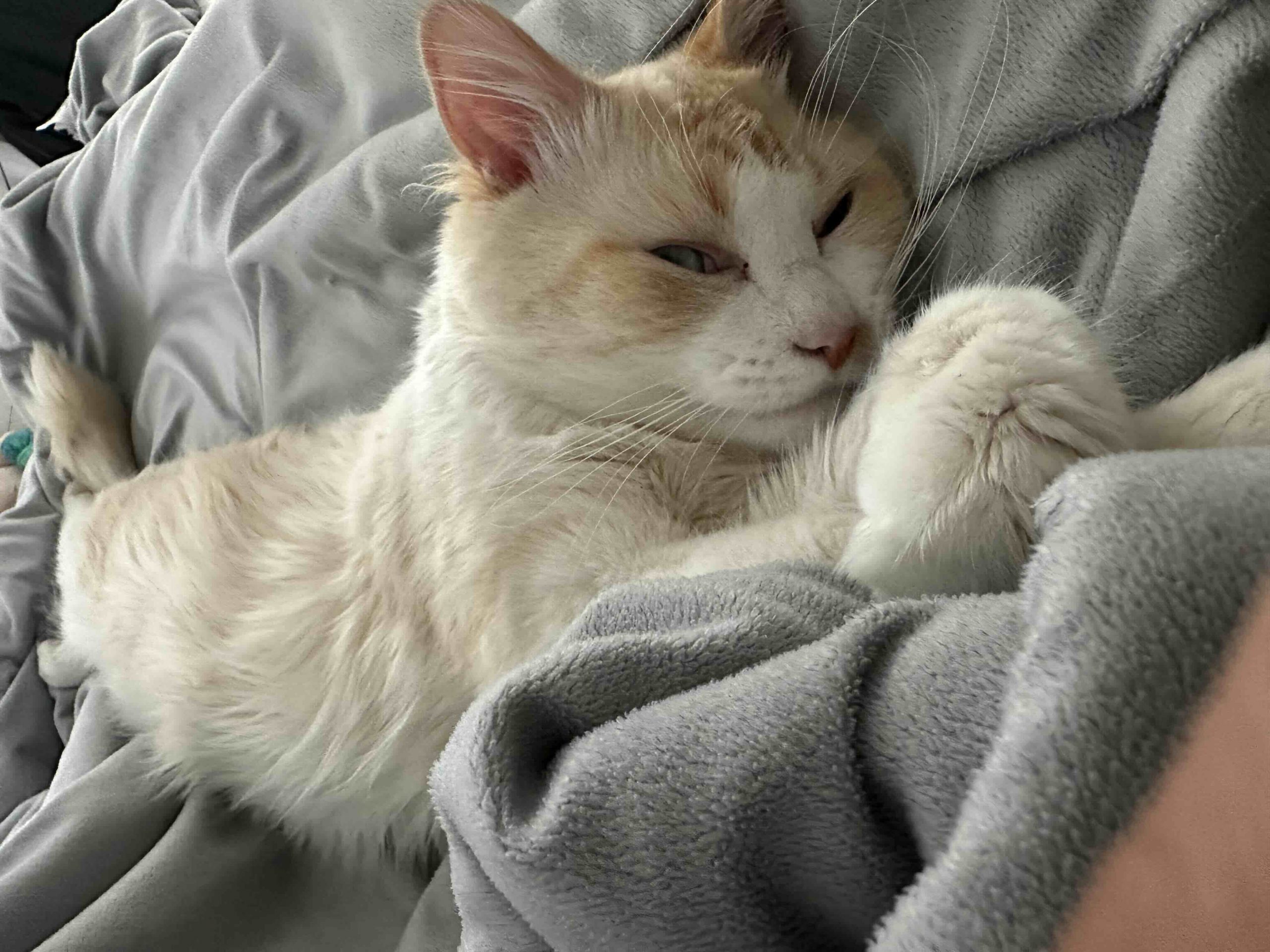 Creating My Own Documentary